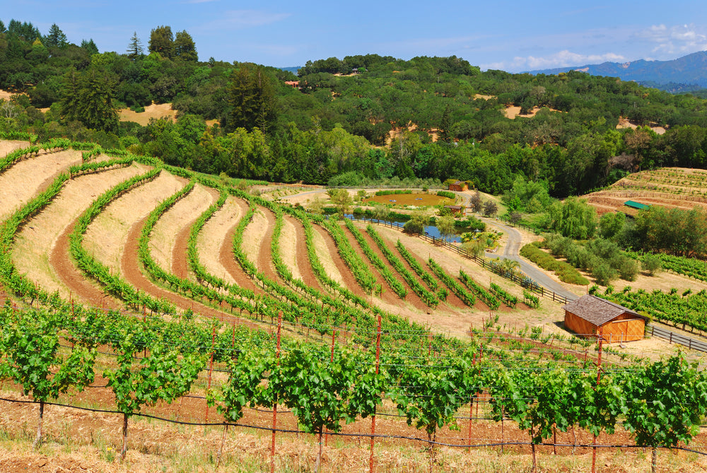 American Wine | Califiornian Wine | Perfect Cellar