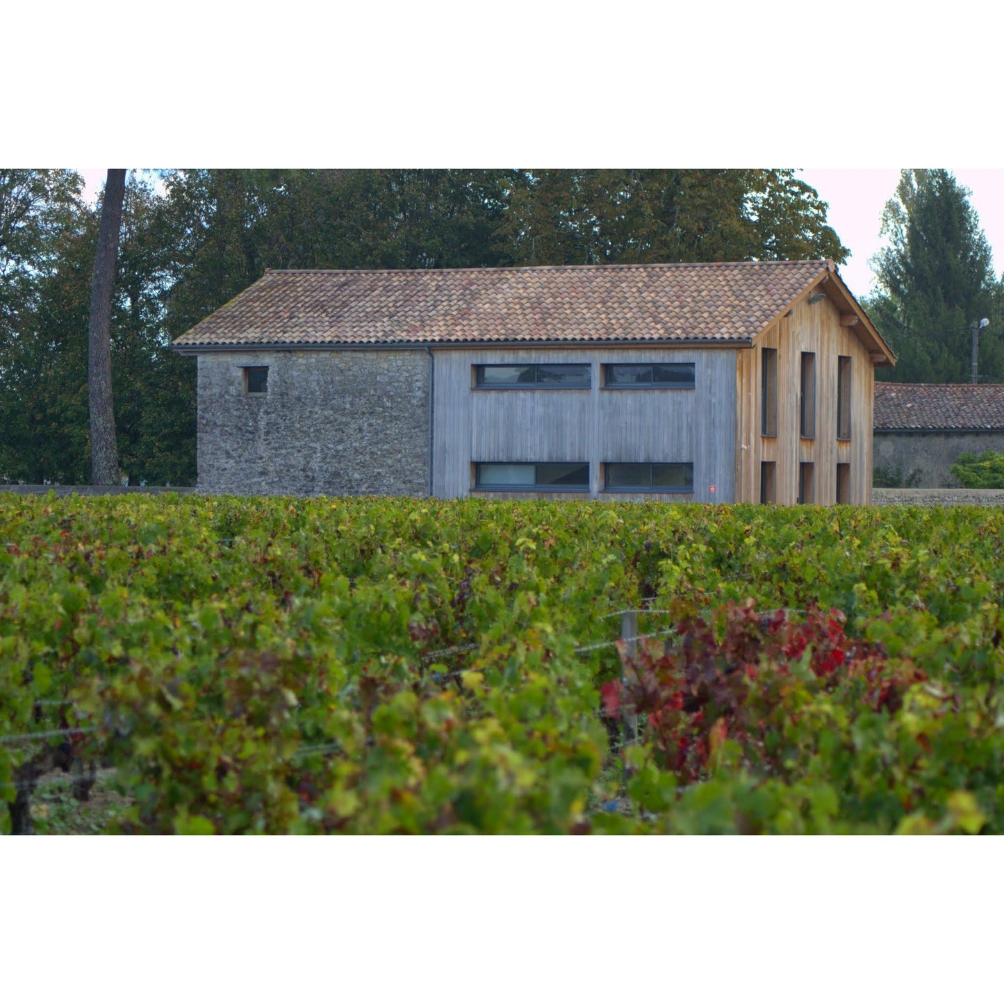 Chateau les Ormes Saint-Julien 2021