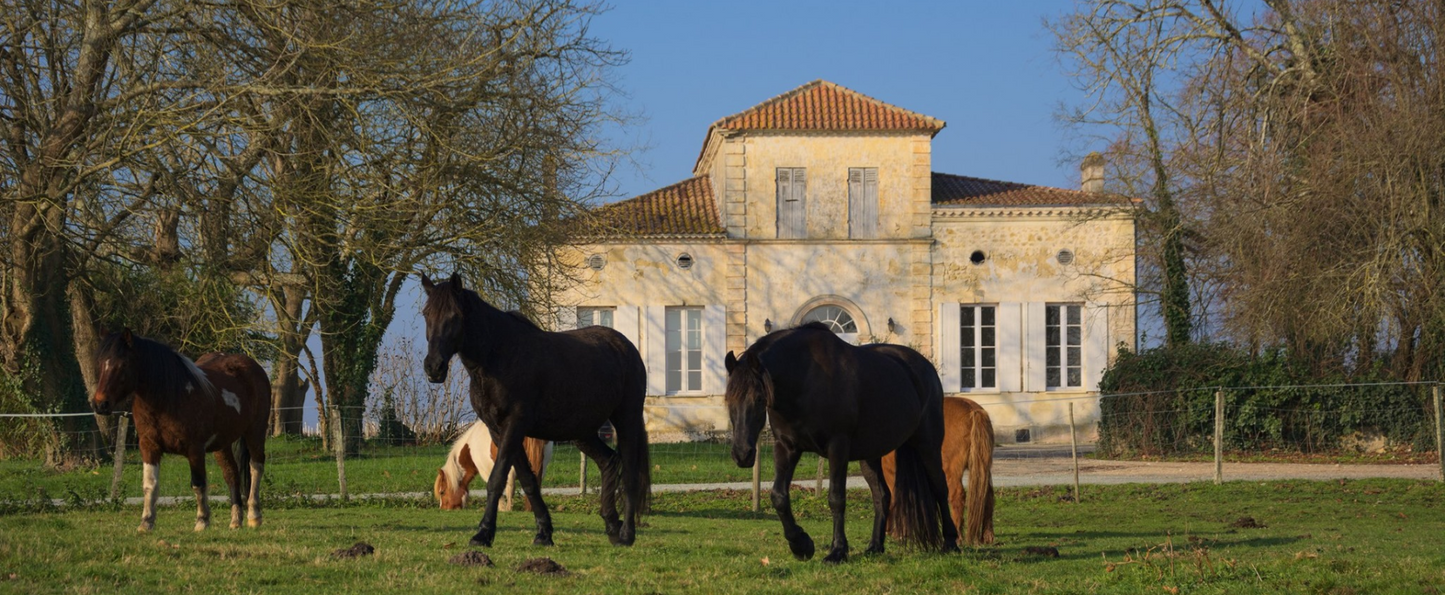 Henri Musso Chateau Les Landes de Cach Pauillac 2019