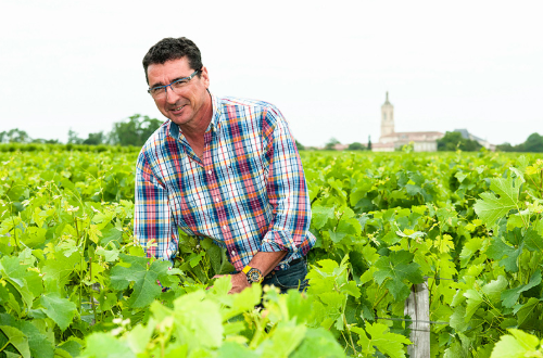 Chateau Moulin de la Rose Saint-Julien 2013