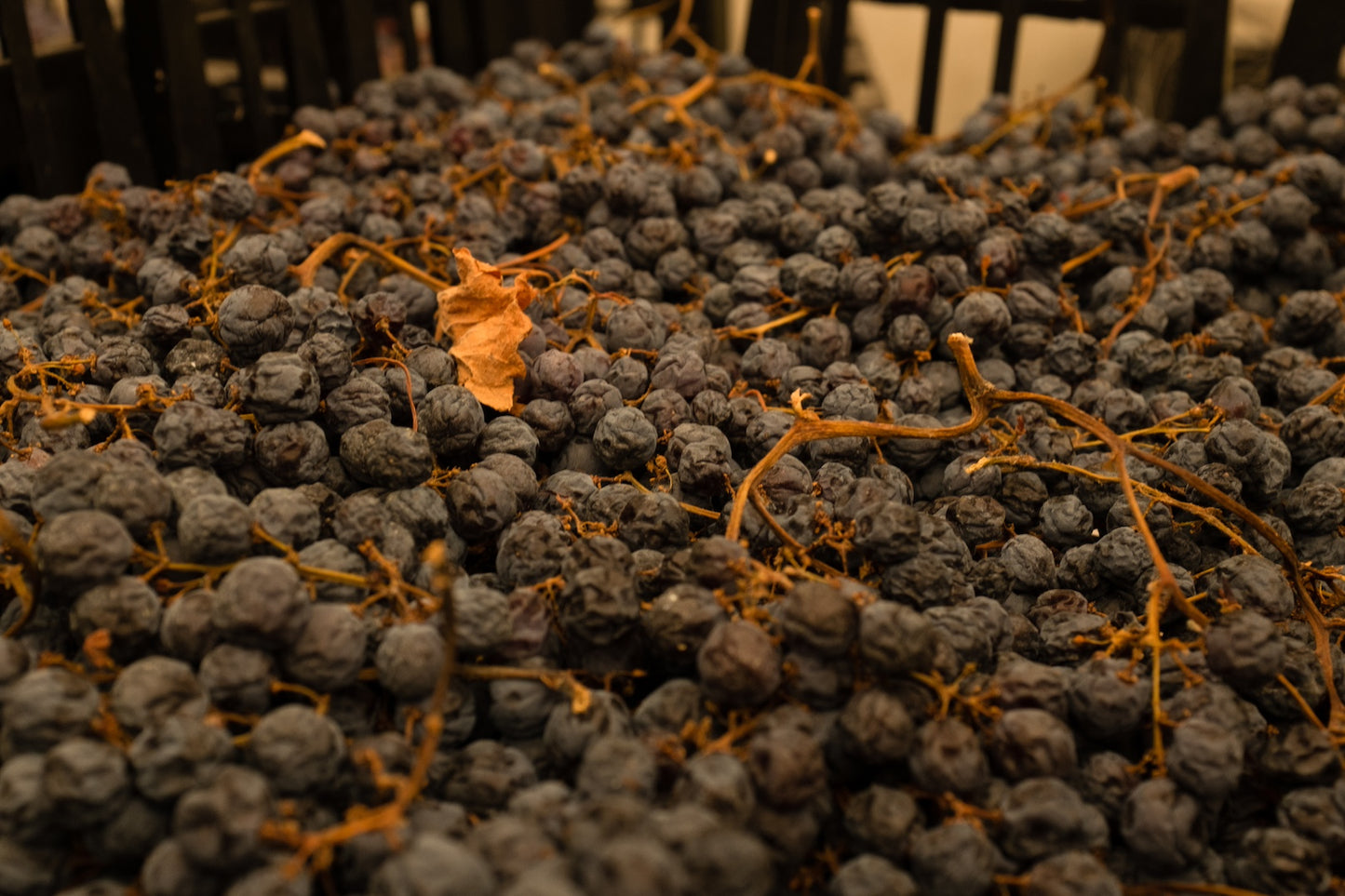 Tenute Ca' Botta Pian di Mezzo Amarone della Valpolicella Riserva DOCG 2015