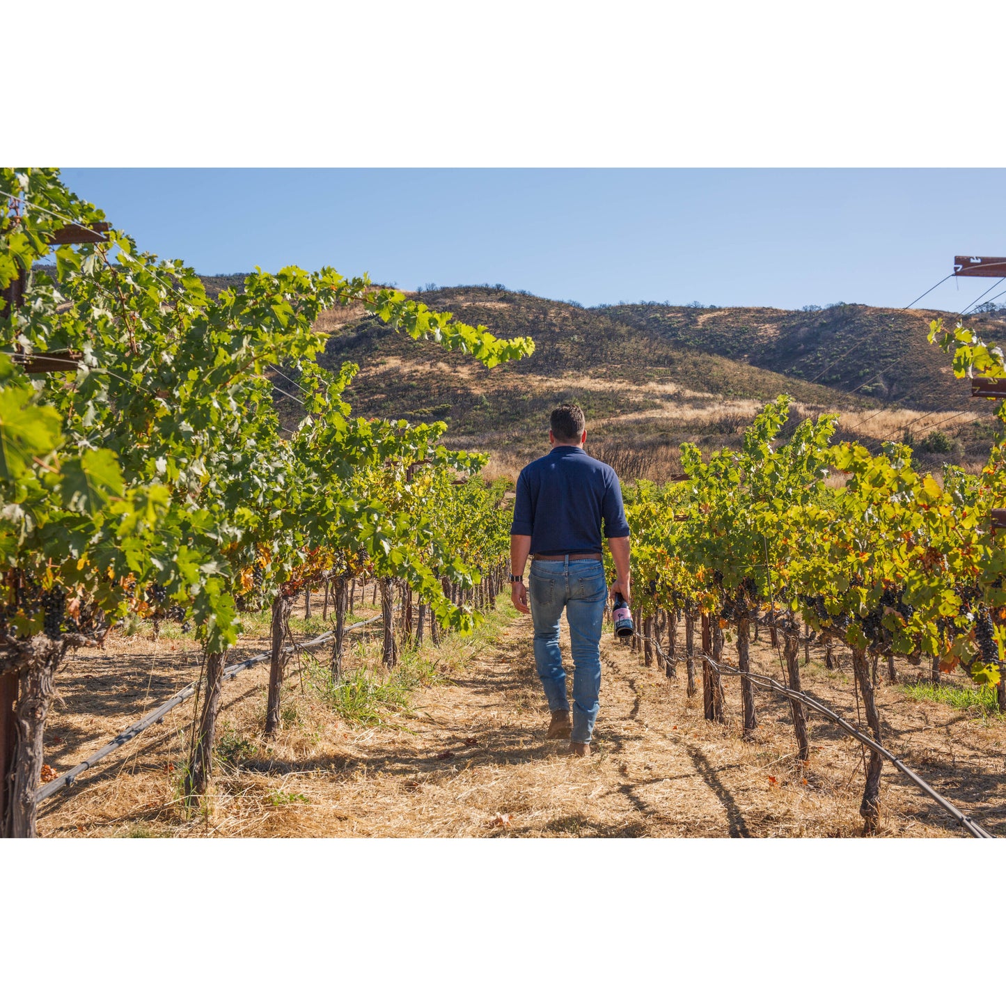 Orin Swift 8 Years in the Desert 2022 (6 Bottle Case)