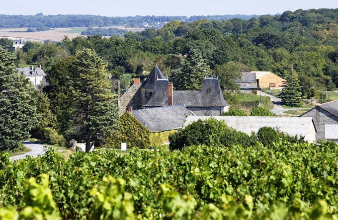 Domaine de Bois Moze Cremant de Loire Brut Rose NV