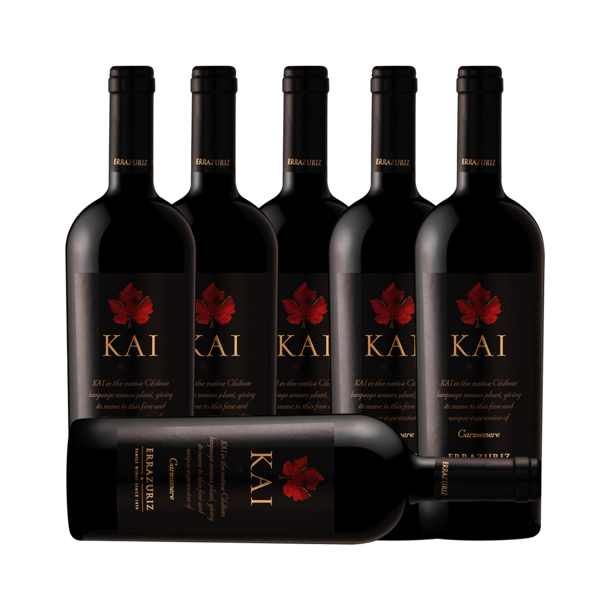 Errazuriz Kai Carmenere 2010 (6 Bottle Case)