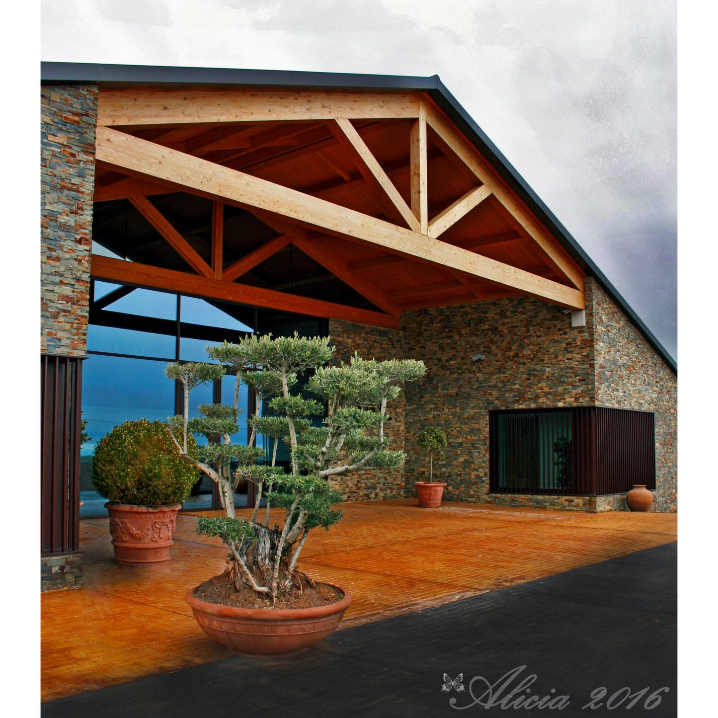 Casa La Rad Solarce Rioja Tinto 2021