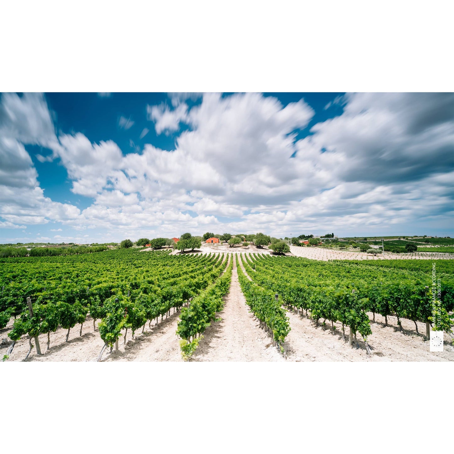 Planeta Cometa 2023 (6 Bottle Case)