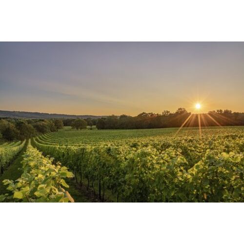 Roebuck Estates Classic Cuvee 2018