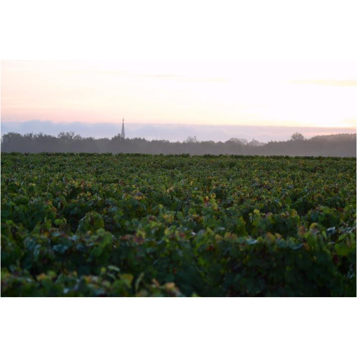 Chateau du Moulin Haut-Medoc 2015