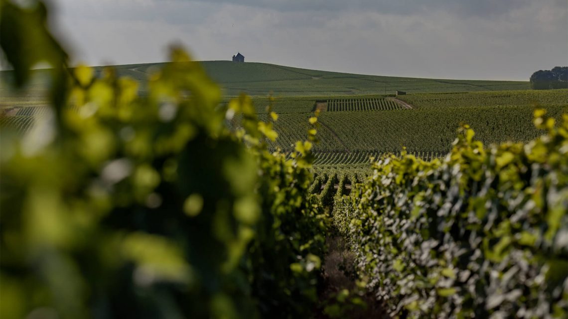 Michel Genet 'MG BB Spirit' Grand Cru Champagne NV (6 Bottle Case)