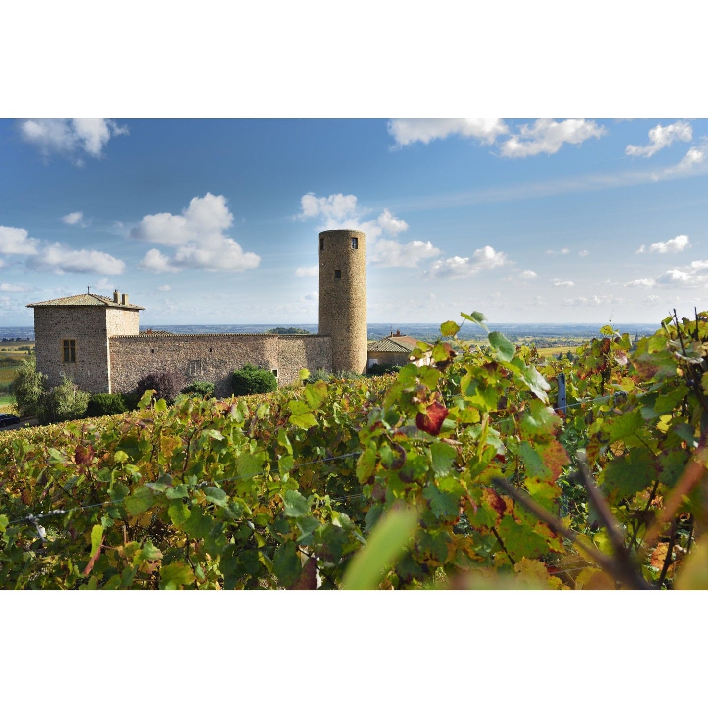 Chateau des Tours Brouilly Lieu dit 'Les Tours' 2023