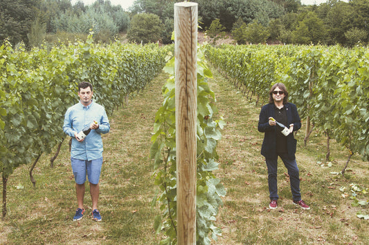 This Spanish grape variety is the new Albariño - and we are glad for that!