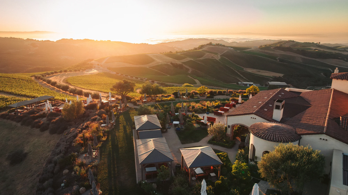 DAOU – Perfect Cellar