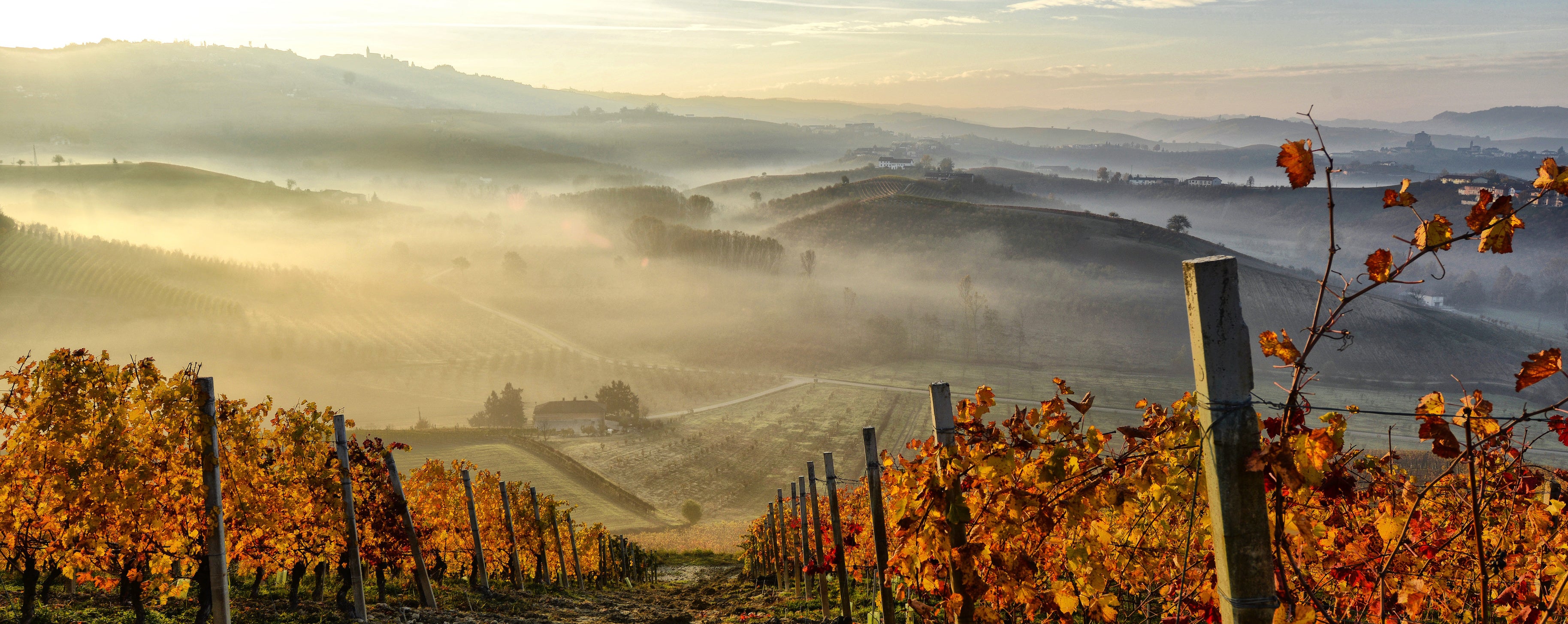 Fine South West France Wine Perfect Cellar