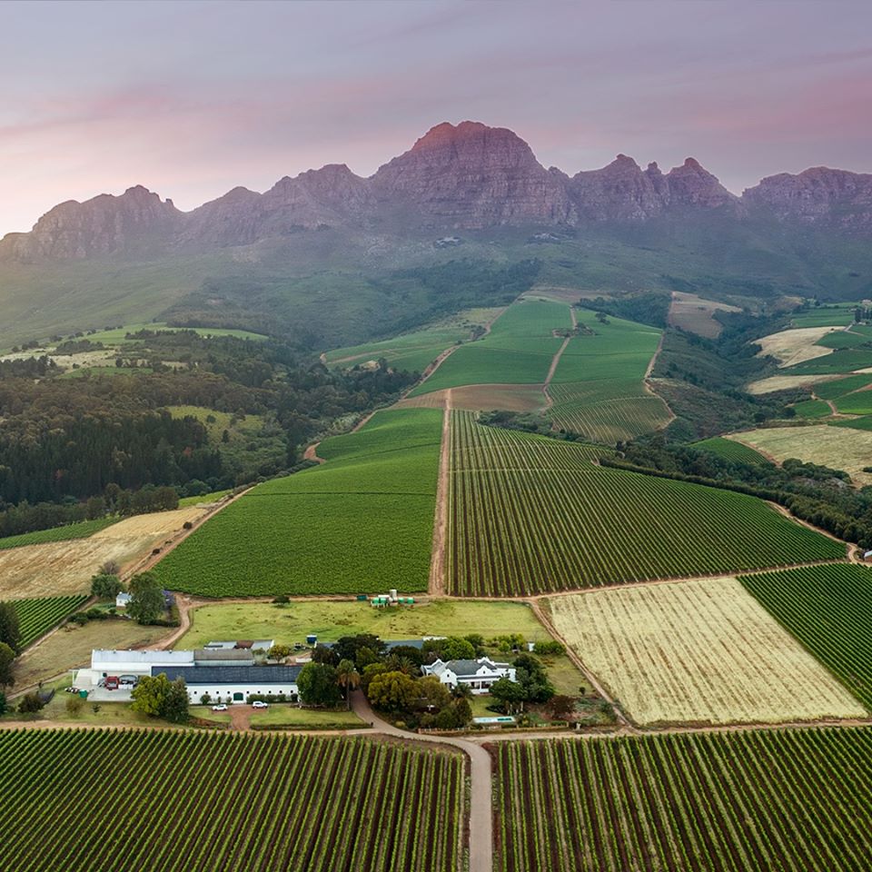 Alto Wine Estate Rouge 2022
