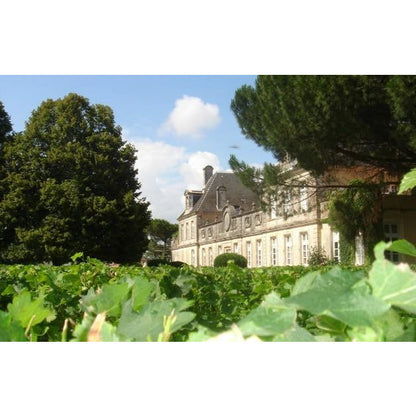 Chateau Calvimont Graves Blanc 2023
