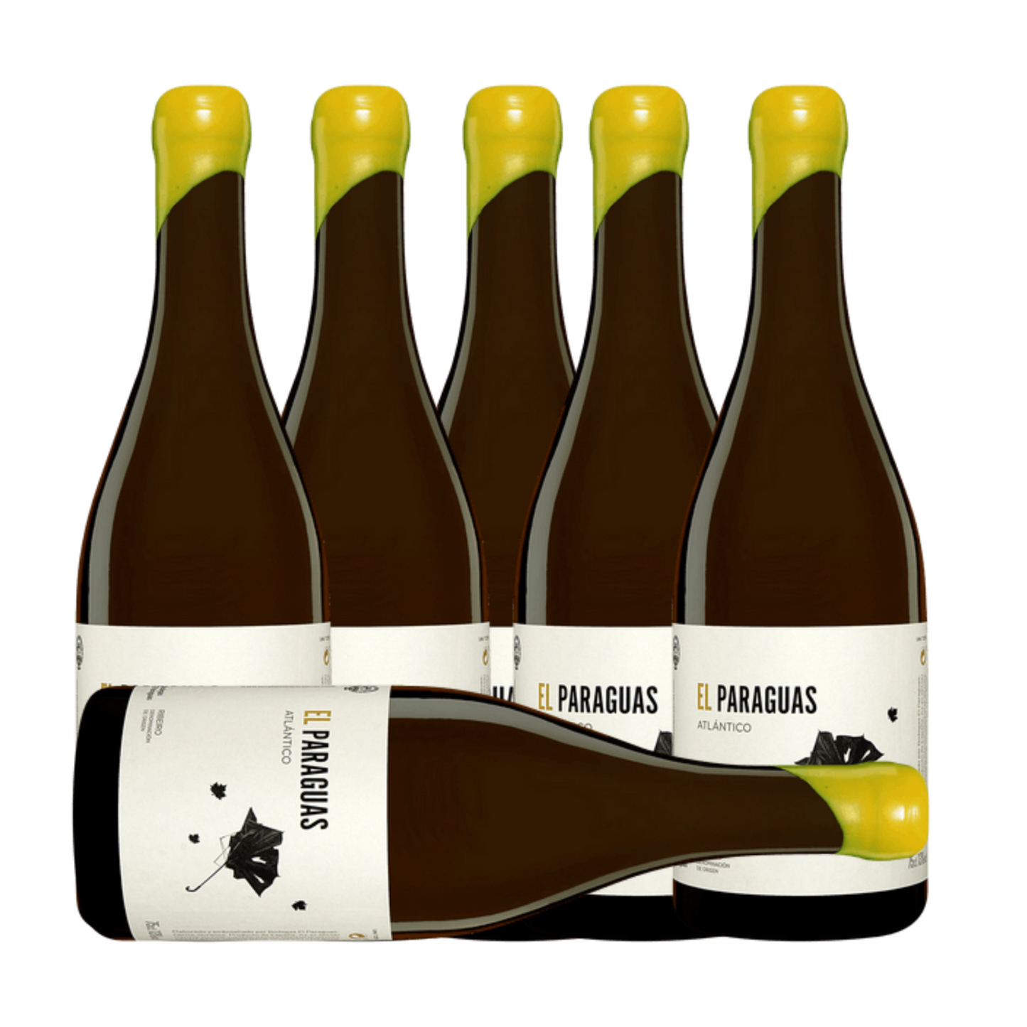 Bodegas El Paraguas Atlantico 2024 (6 Bottle Case)