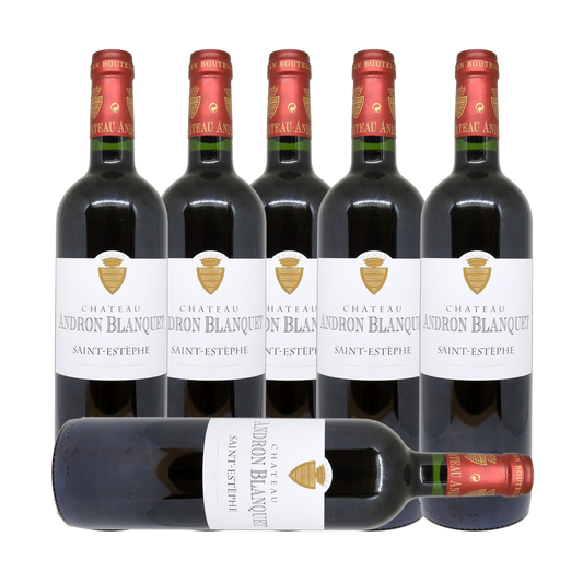 Chateau Andron-Blanquet Saint-Estephe 2016 (6 Bottle Case)