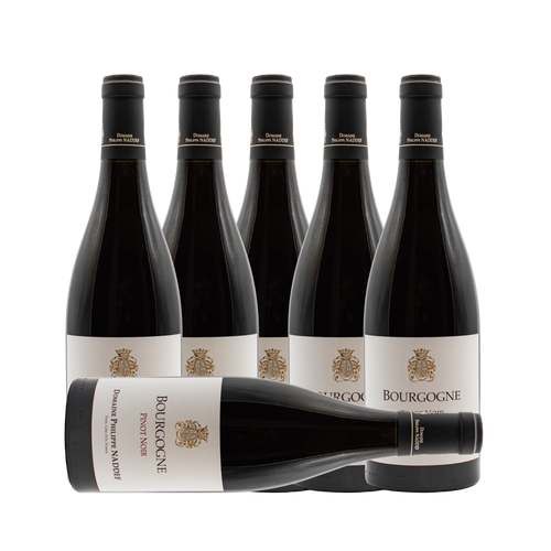 Domaine Philippe Naddef Bourgogne Pinot Noir 2022 (6 Bottle Case)