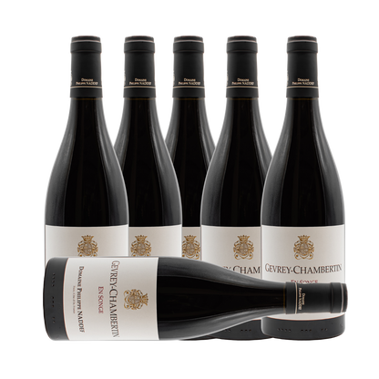 Domaine Philippe Naddef Gevrey Chambertin En Songe 2022 (6 Bottle Case)
