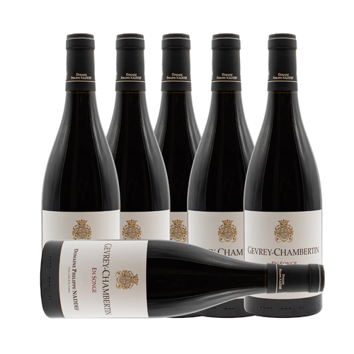 Domaine Philippe Naddef Gevrey Chambertin En Songe 2022 (6 Bottle Case)