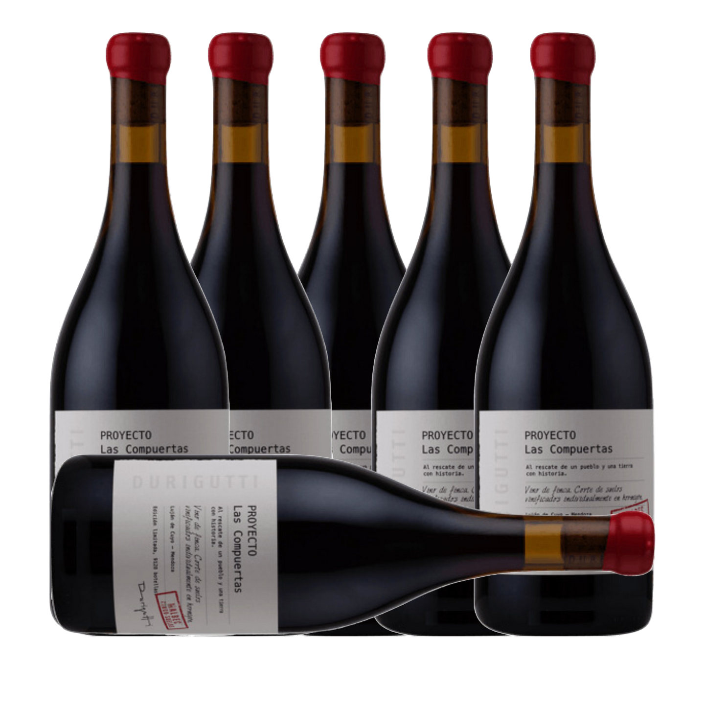 Durigutti Proyecto Las Compuertas Malbec 5 Suelos 2024 (6 Bottle Case)