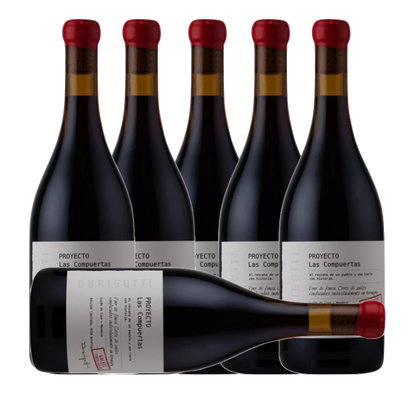 Durigutti Proyecto Las Compuertas Malbec 5 Suelos 2024 (6 Bottle Case)