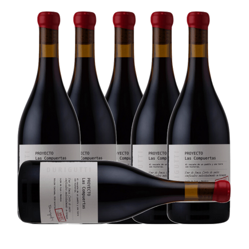 Durigutti Proyecto Las Compuertas Malbec 5 Suelos 2024 (6 Bottle Case)