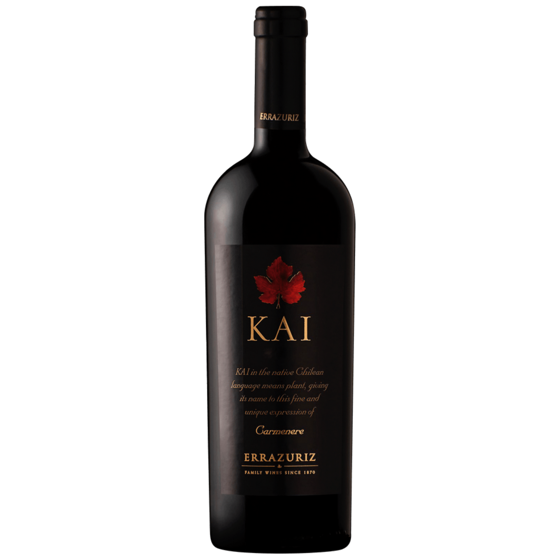 ErrazurizKaiCarmenere_1.png?v=