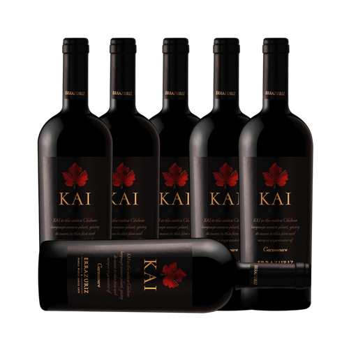 Errazuriz Kai Carmenere 2010 (6 Bottle Case)