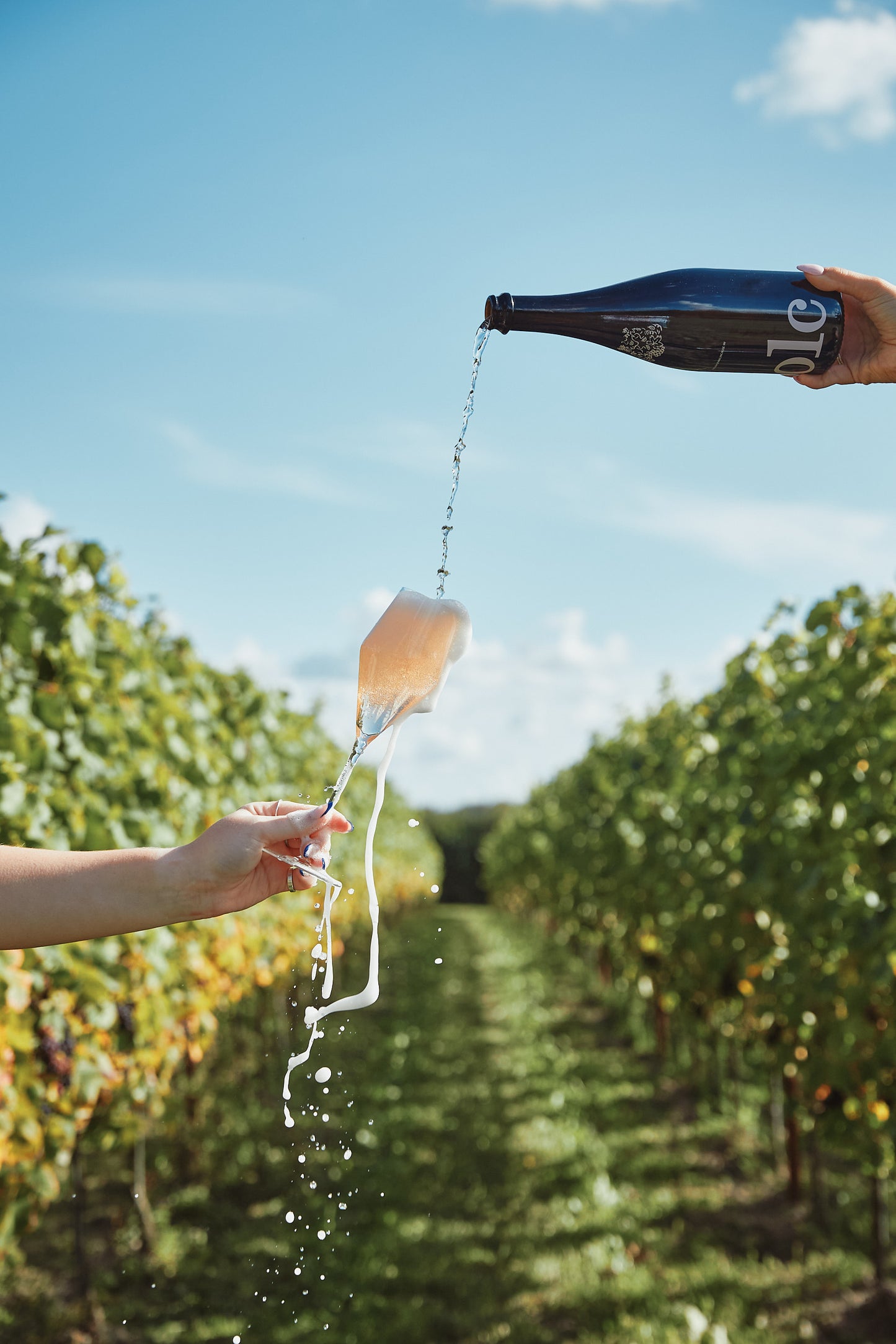 Folc English Sparkling Rose NV