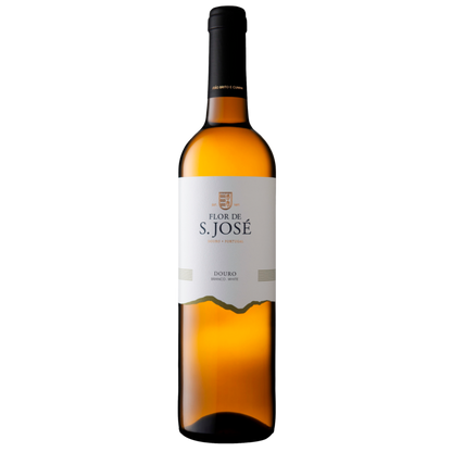 Flor de Sao Jose Branco 2023