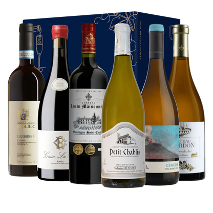 Introduction to Fine Wine: A Curated European Selection