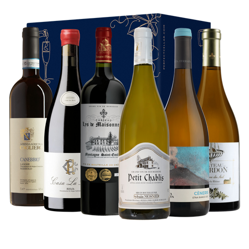 Introduction to Fine Wine: A Curated European Selection