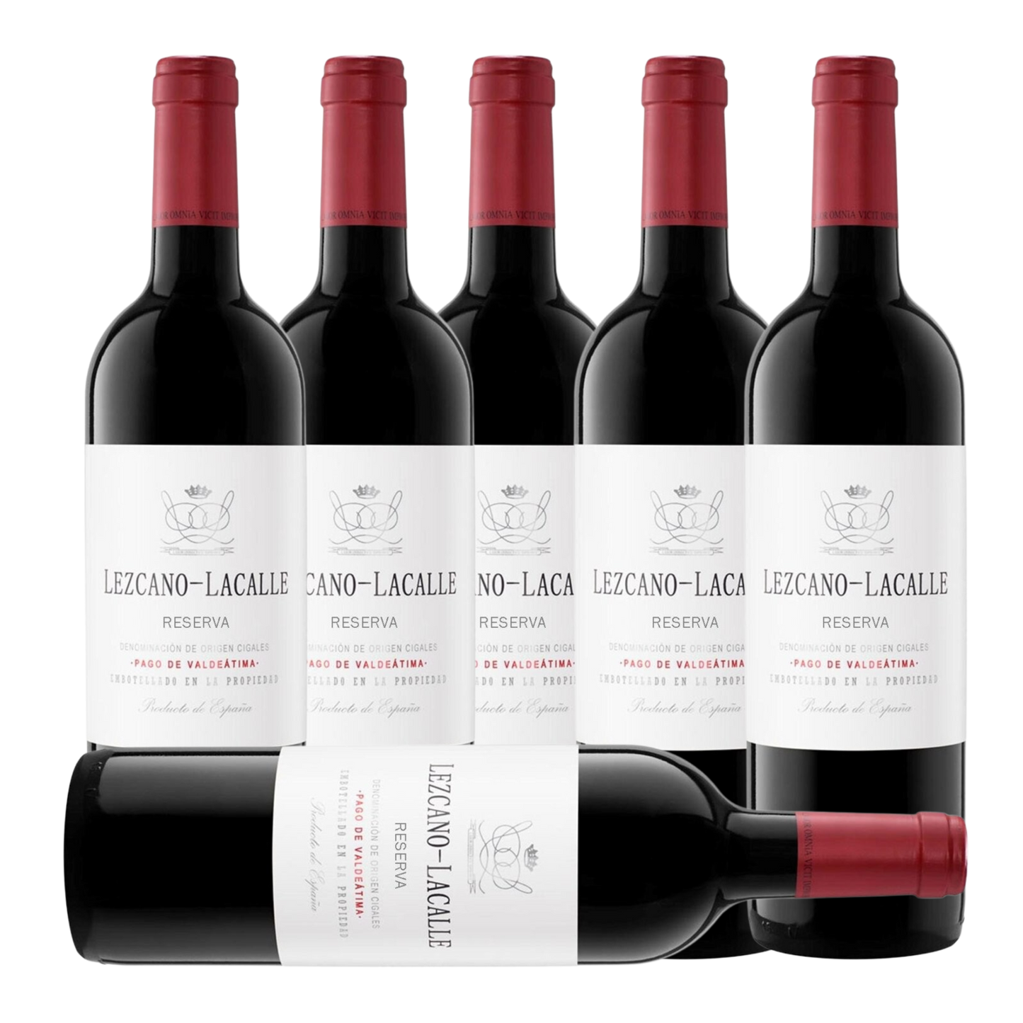 Lezcano-Lacalle Reserva 2019 (6 Bottle Case)