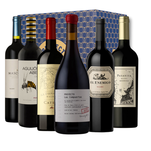 Malbec Masters – Six-Bottle Argentinian Discovery Case