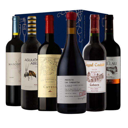Malbec Masters – Six-Bottle Discovery Case