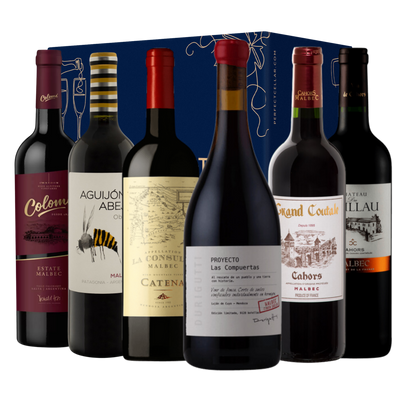 Malbec Masters – Six-Bottle Discovery Case