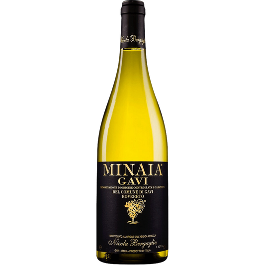 Nicola Bergaglio Minaia Gavi del Comune di Gavi Rovereto 2024