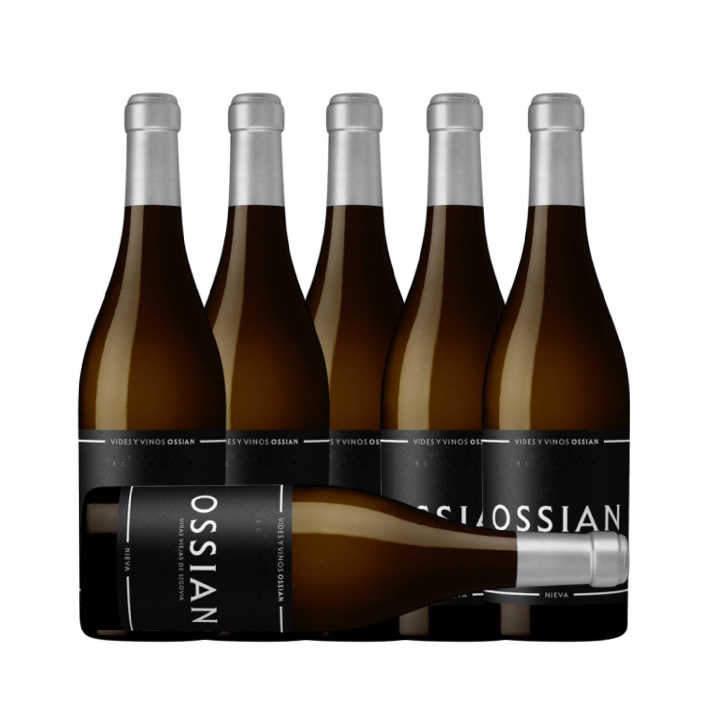 Ossian Vinas Viejas Verdejo 2022 (6 Bottle Case)