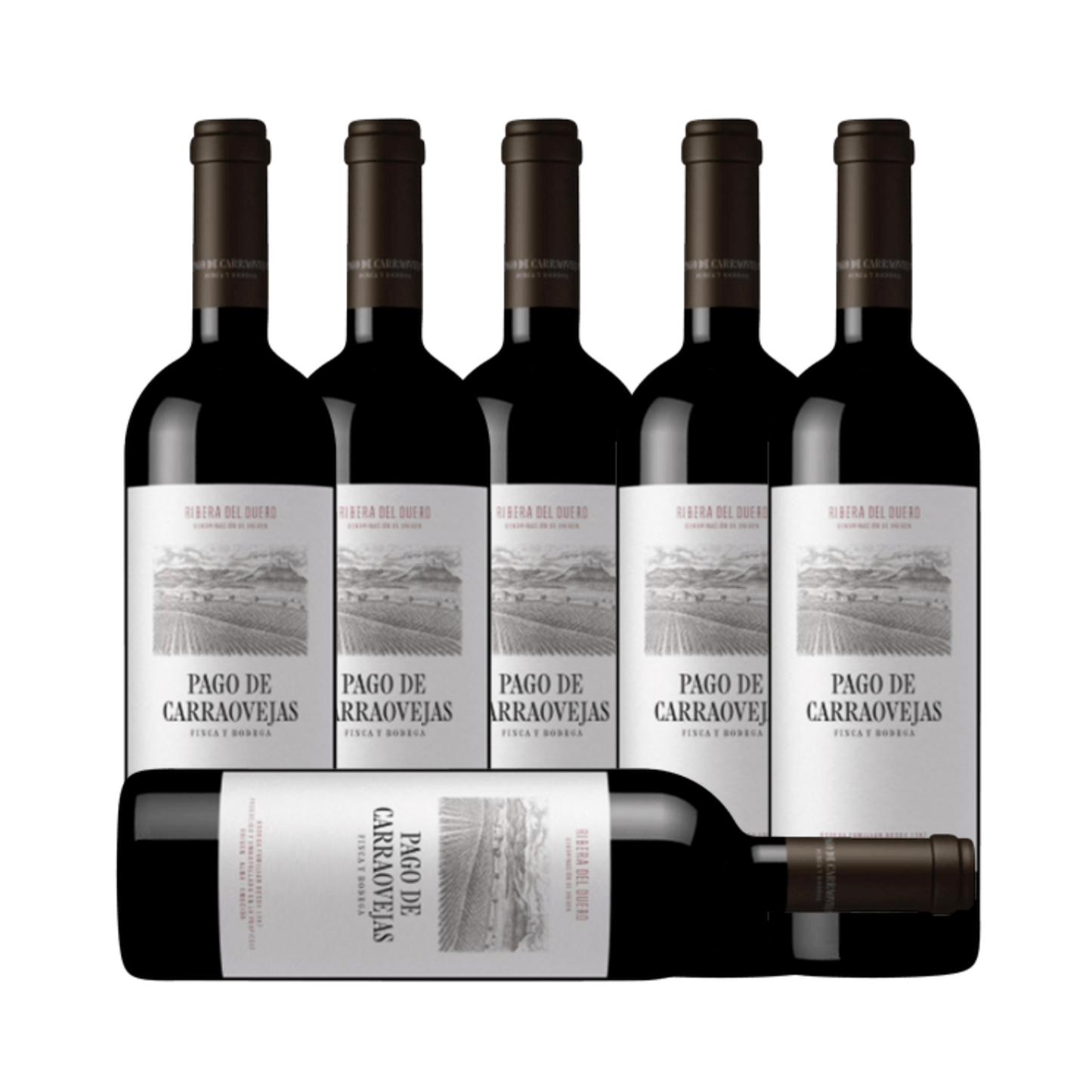 Pago de Carraovejas Tinto 2022 (6 Bottle Case)
