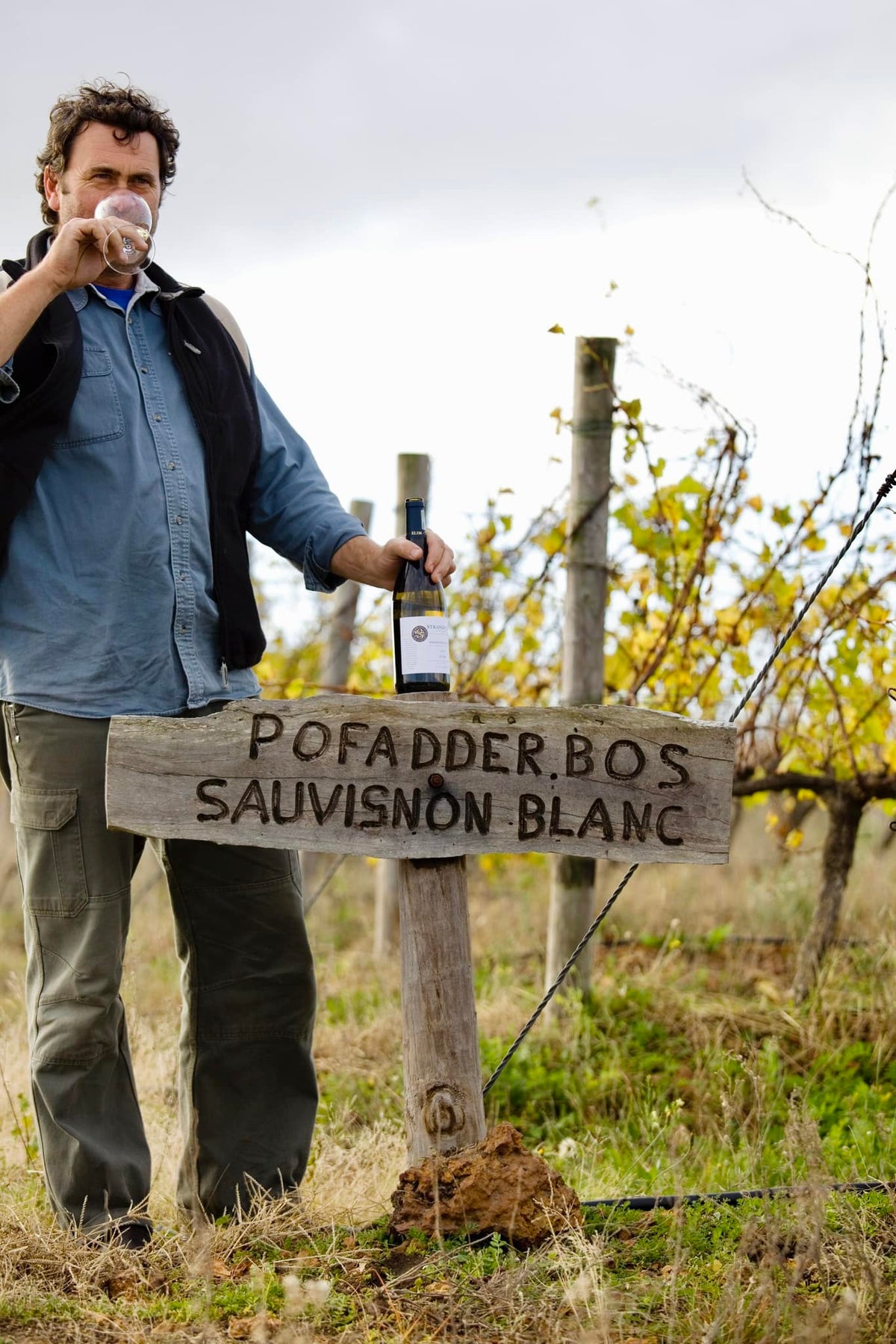 Strandveld Vineyards Pofadderbos Sauvignon Blanc 2025