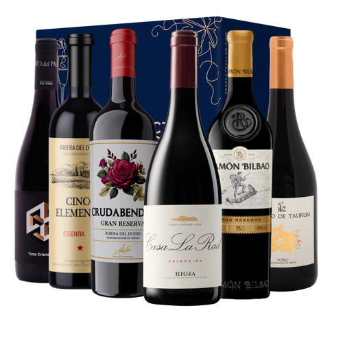 Spanish Red Wine Discovery Case – 6 Bottles, 3 Regions