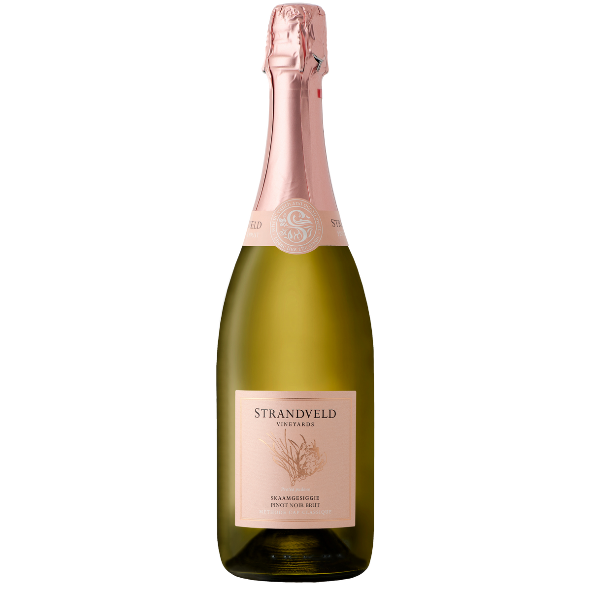Strandveld Vineyards 'Skaamgesiggie' Pinot Noir Brut 2023