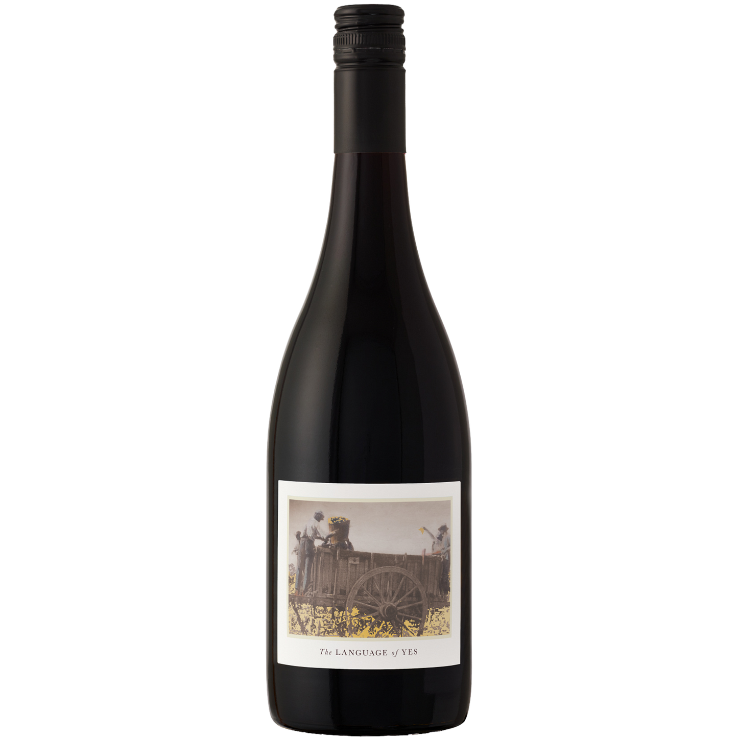 The Language of Yes Syrah 2023