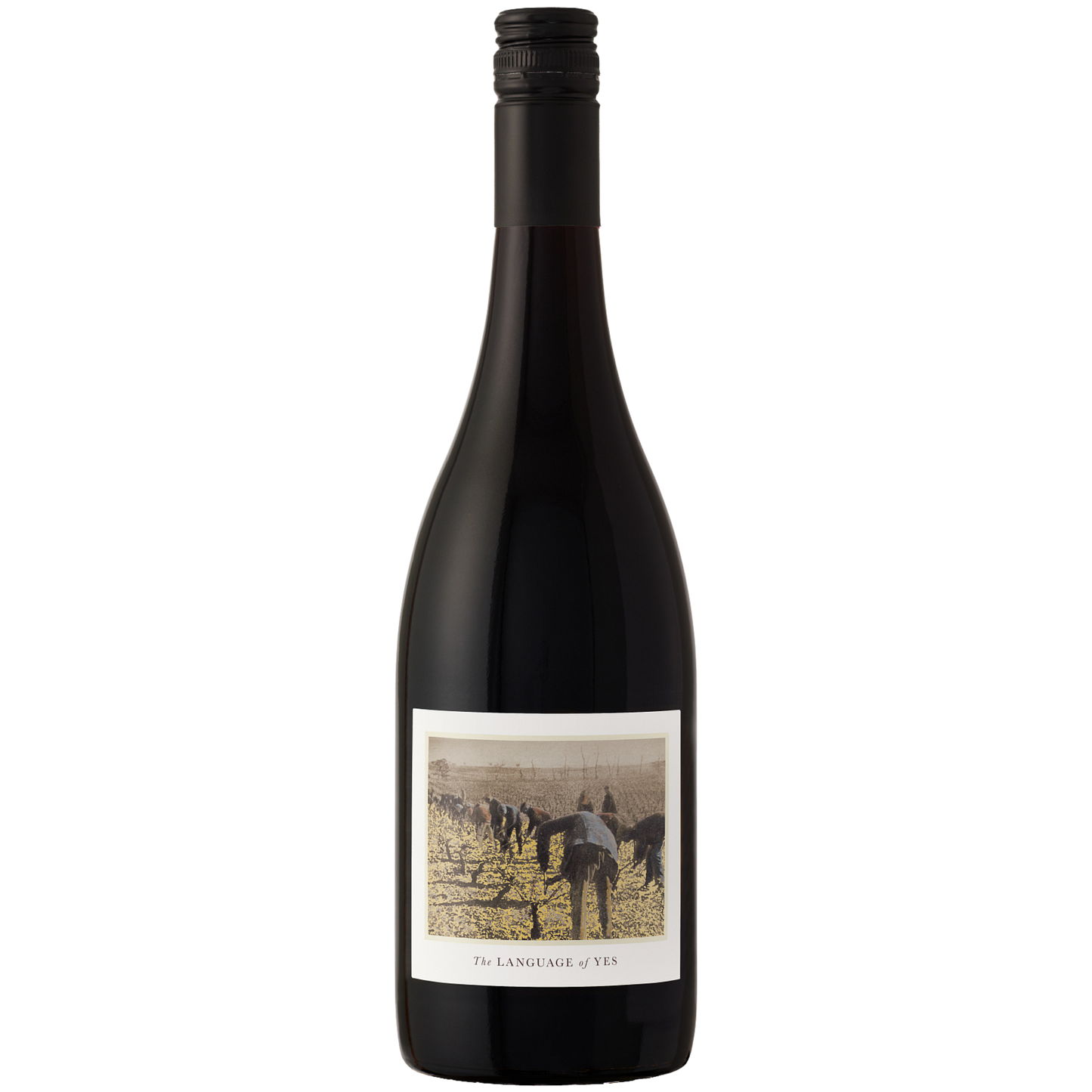The Language of Yes Grenache 2023