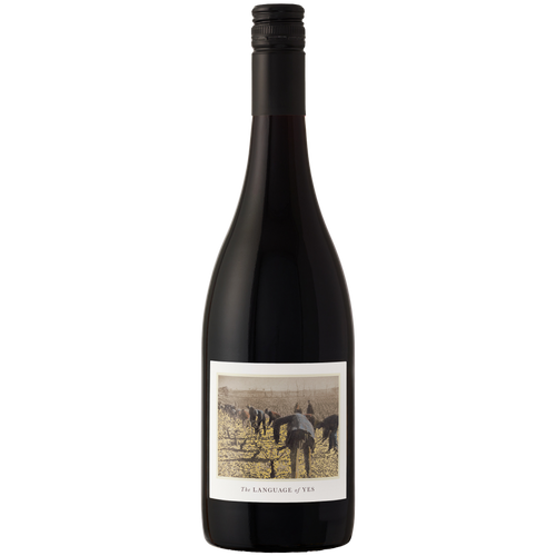 The Language of Yes Grenache 2023