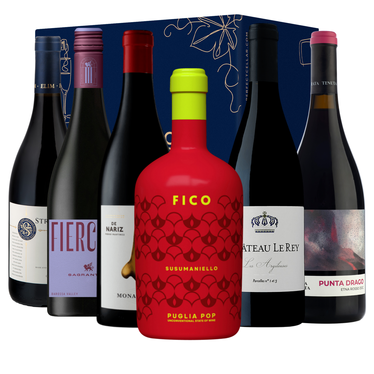 Unearthed: The Discovery Reds Case