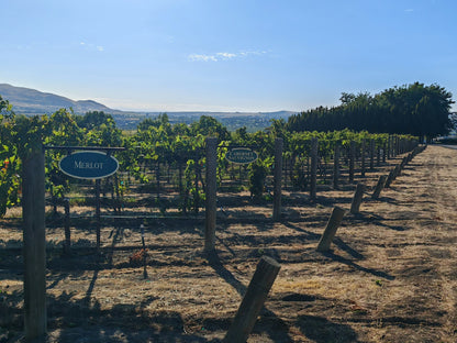 Hedges La Haute Syrah 2020
