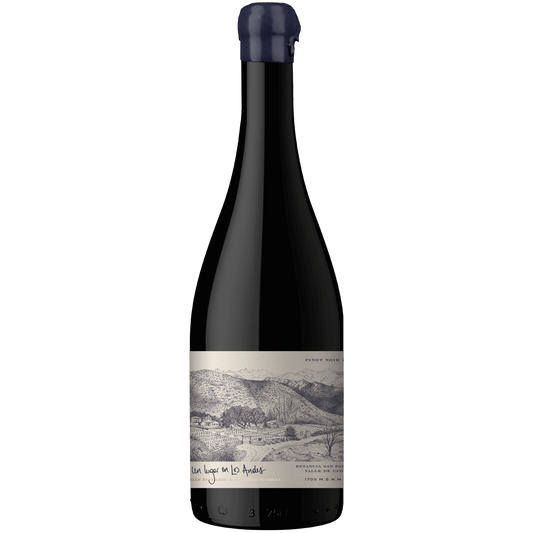 Zuccardi Un Lugar de los Andes Pinot Noir 2022