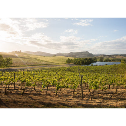 Cuvaison Estate Grown Chardonnay 2019